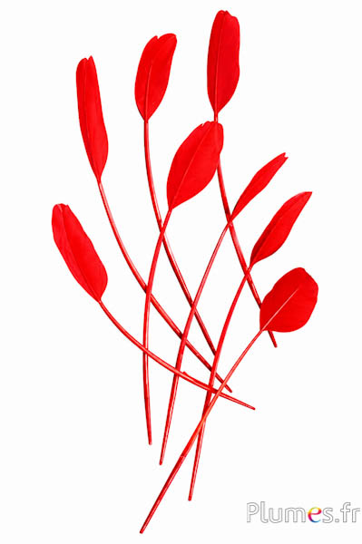 Panicule zwaan zijde - 25-30 cm - rood